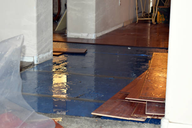 Professional Water Damage Restoration technician working in Glencoe, FL